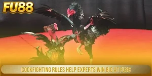 cockfighting rules help experts win big at fu88