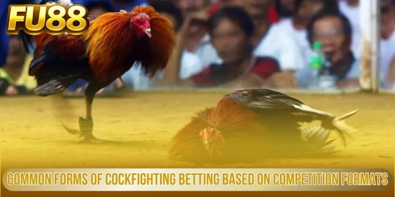 Common forms of cockfighting betting based on competition formats