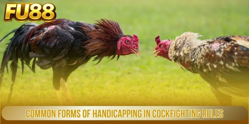 Common forms of handicapping in cockfighting rules