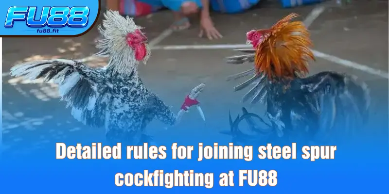 Detailed rules for joining steel spur cockfighting at FU88