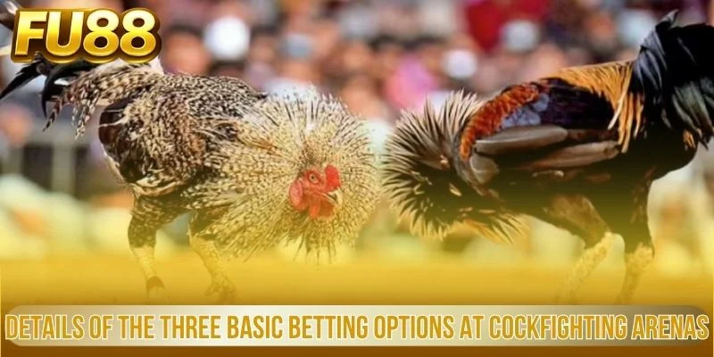 Details of the Three Basic Betting Options at Cockfighting Arenas
