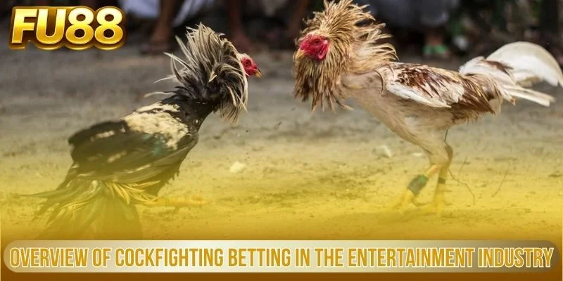 overview of cockfighting betting in the entertainment industry