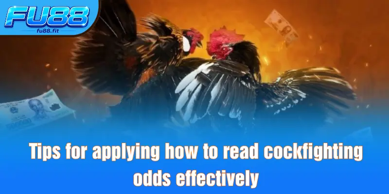 Tips for applying how to read cockfighting odds effectively