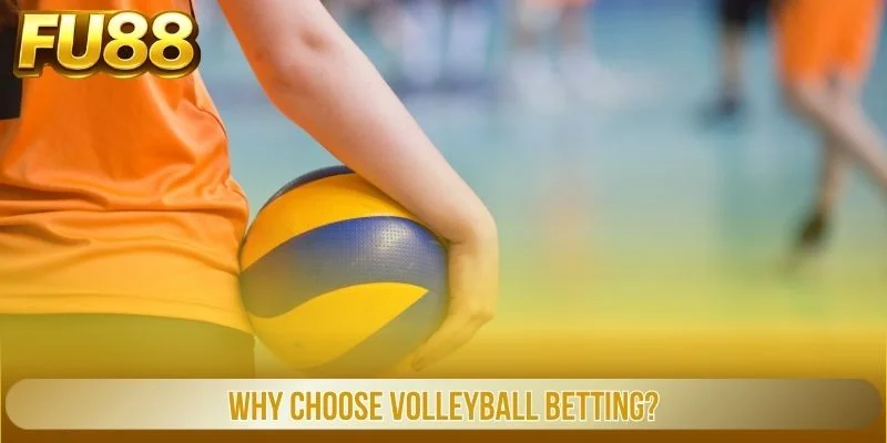 Why choose volleyball betting?