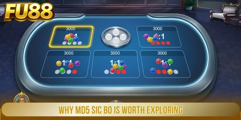 Why MD5 Sic Bo is worth exploring