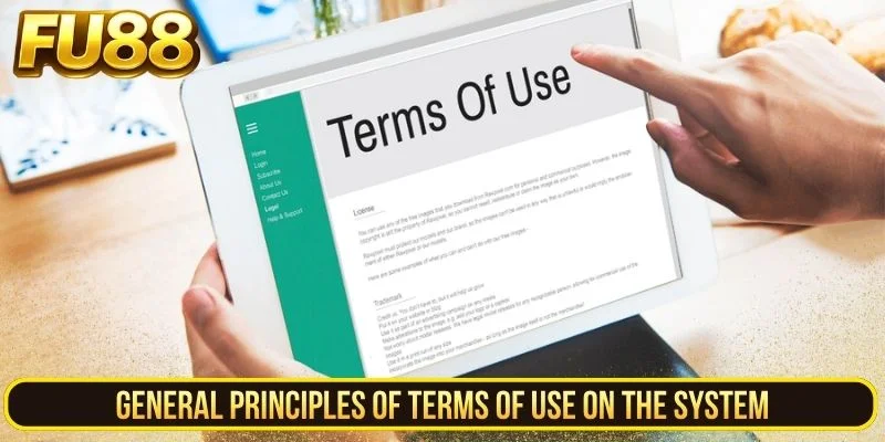 General Principles of Terms of Use on the System