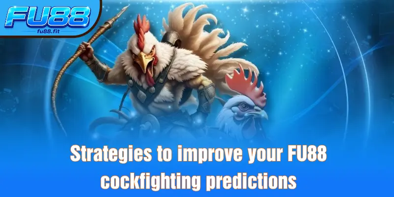 Strategies to improve your FU88 cockfighting predictions